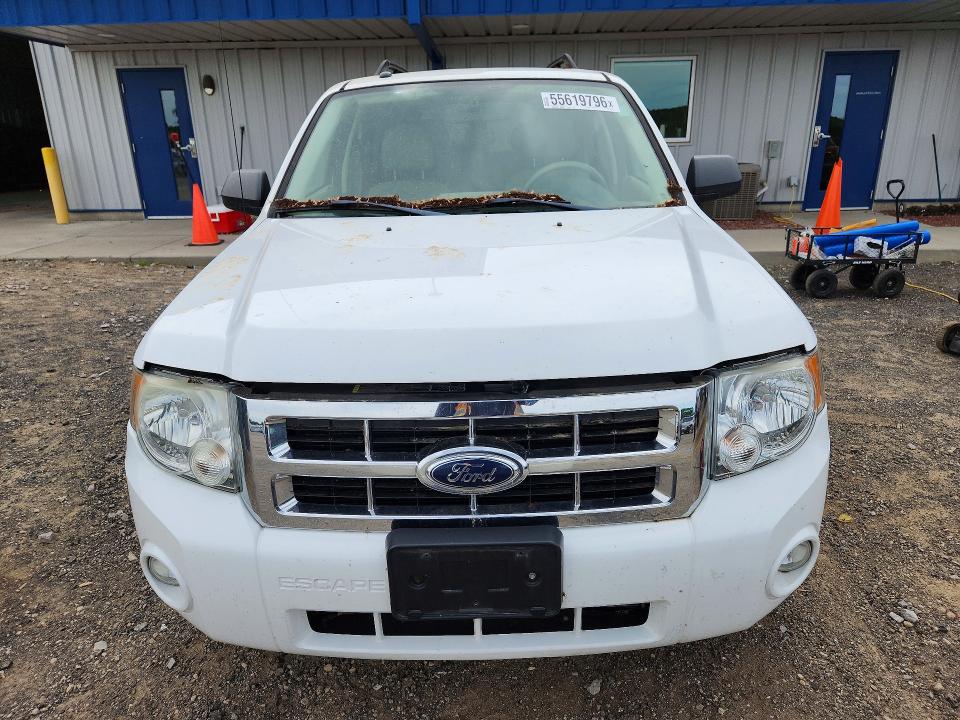 55619796 :رقم المزاد ، 1FMCU93138KE29185 vin ، 2008 Ford Escape مزاد بيع
