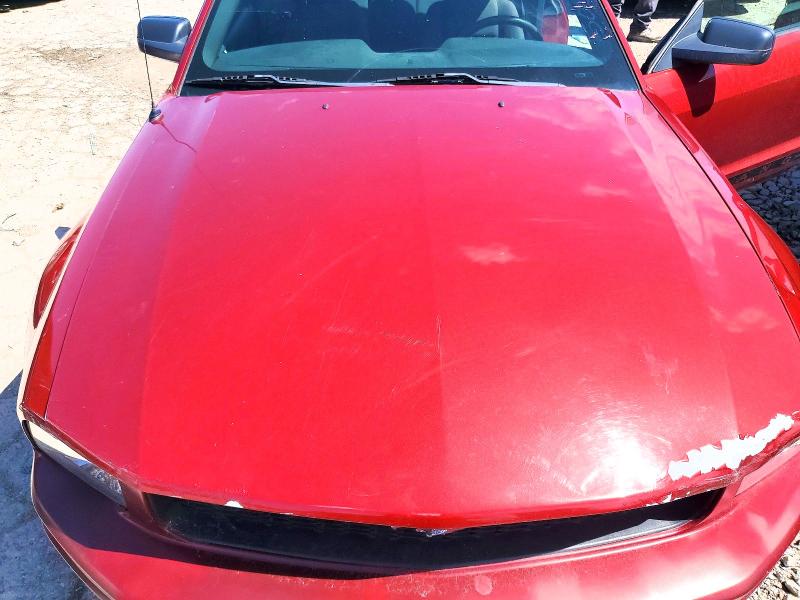 Auction sale of the 2006 Ford Mustang, vin: 1ZVFT80N765187581, lot number: 56343836