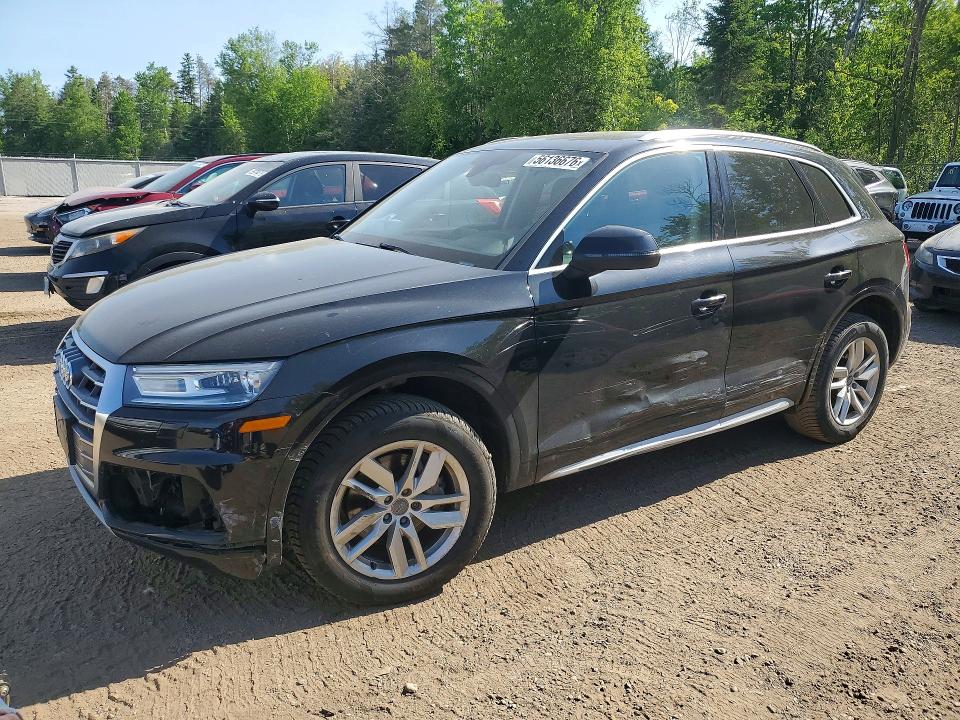 Auction sale of the 2020 Audi Q5, vin: WA1ANAFY1L2023346, lot number: 56136676