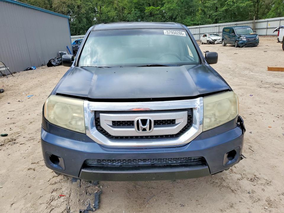 57950286 :رقم المزاد ، 5FNYF38229B024713 vin ، 2009 Honda Pilot مزاد بيع