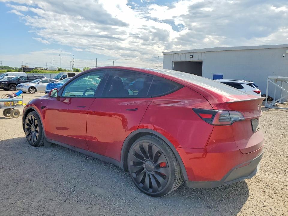 Продаж на аукціоні авто 2024 Tesla Model Y, vin: 7SAYGDEF4RA284248, номер лоту: 54344956