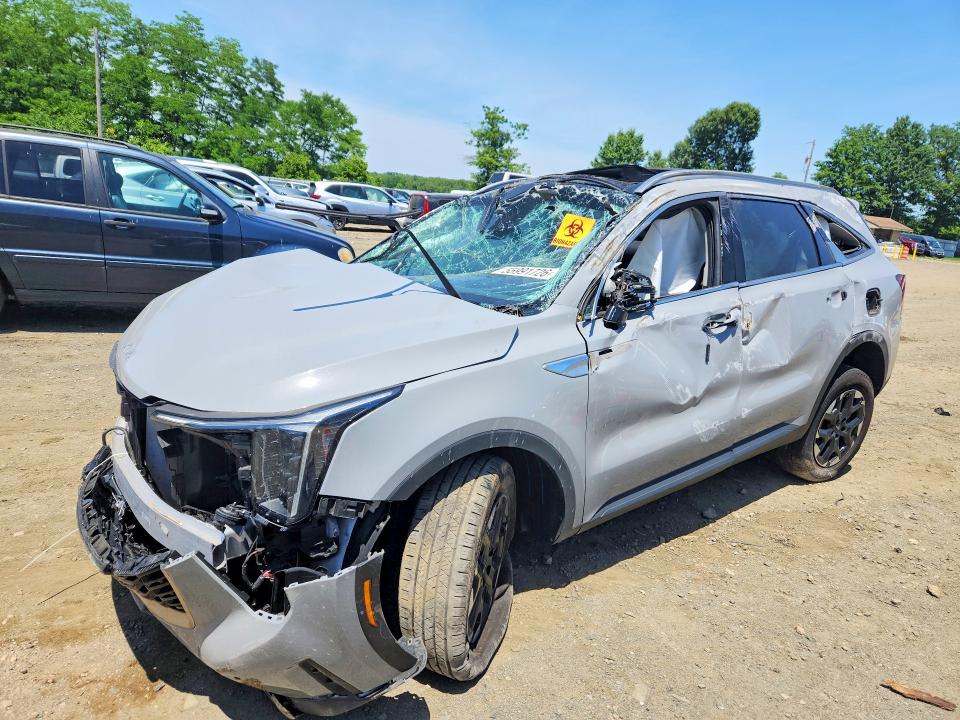 Aukcja sprzedaży 2024 Kia Sorento, vin: 5XYRLDJC0RG286292, numer aukcji: 55991726
