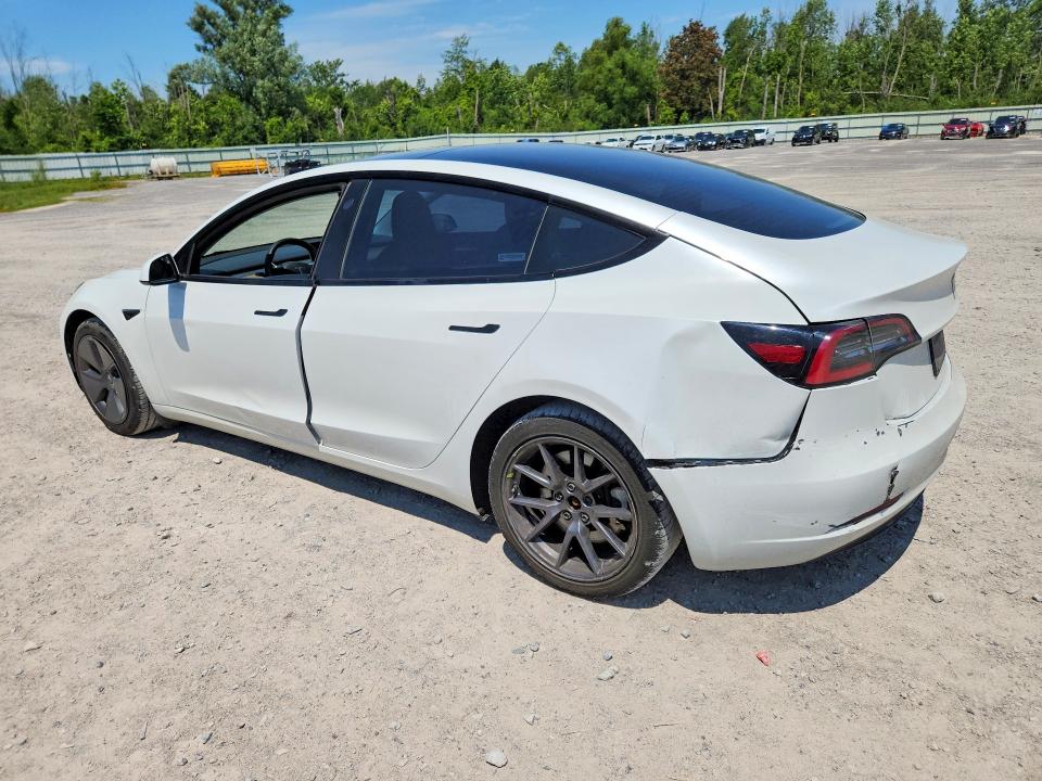 Продаж на аукціоні авто 2023 Tesla Model 3, vin: 5YJ3E1EA7PF491300, номер лоту: 59107666