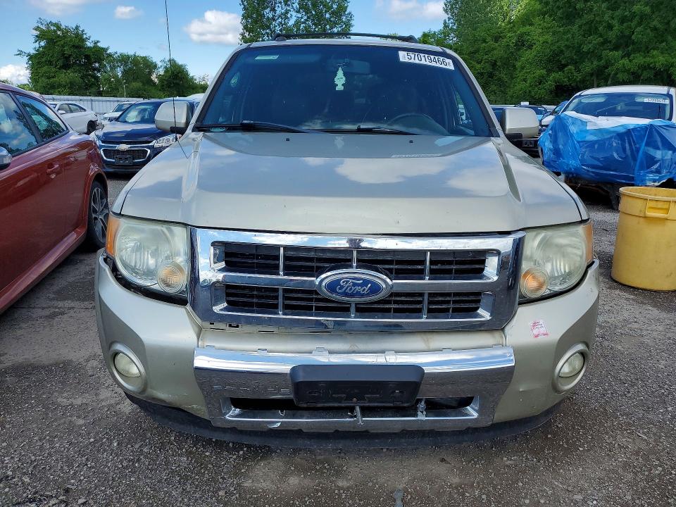57019466 :رقم المزاد ، 1FMCU9EG0AKC85991 vin ، 2010 Ford Escape مزاد بيع