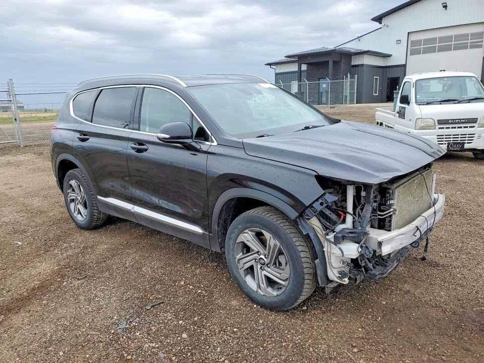 Продаж на аукціоні авто 2021 Hyundai Santa Fe, vin: 5NMS3DAJ6MH353573, номер лоту: 57373266
