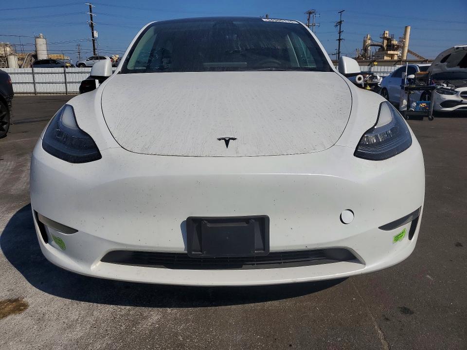Продажа на аукционе авто 2023 Tesla Model Y, vin: 7SAYGDEE6PA066073, номер лота: 54900116
