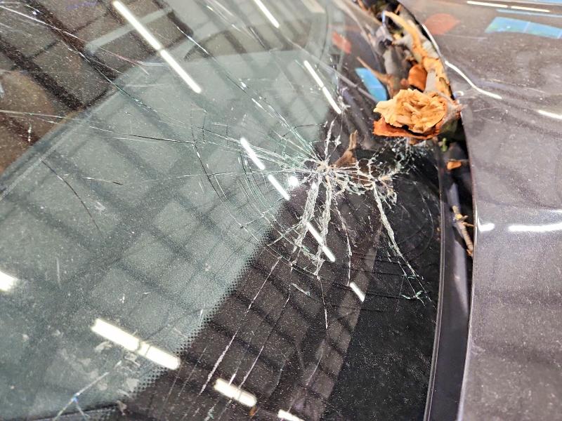 Aukcja sprzedaży 2019 Bmw X4, vin: 5UXUJ5C54KLJ64287, numer aukcji: 56059586
