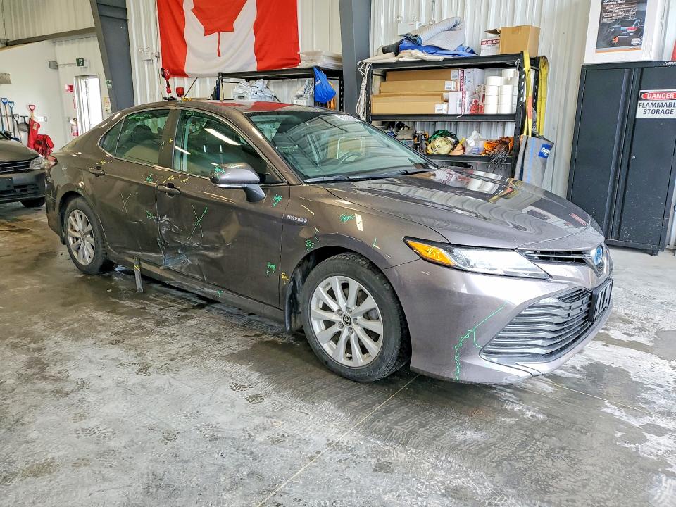 56033926 :رقم المزاد ، 4T1C31AK2LU534006 vin ، 2020 Toyota Camry مزاد بيع