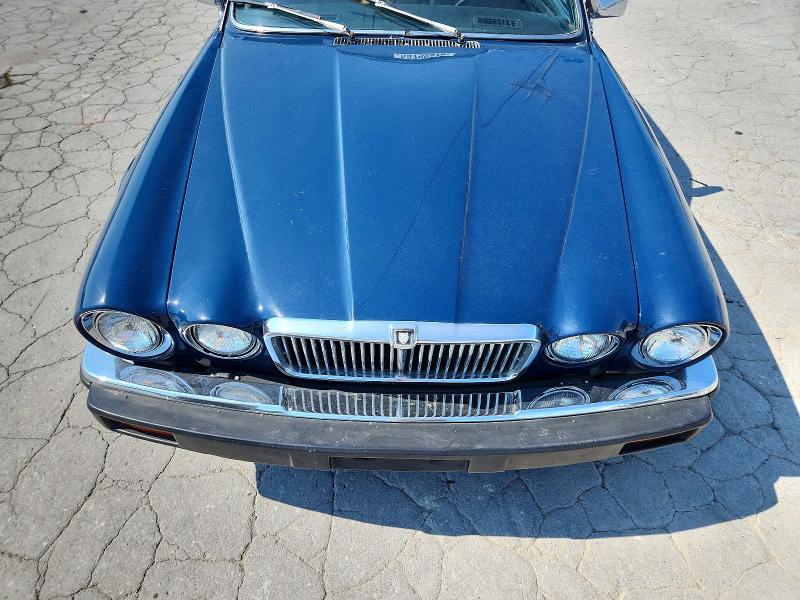 1980 Jaguar Xj6 მანქანა იყიდება აუქციონზე, vin: JAVLN4AC313688, აუქციონის ნომერი: 58792476
