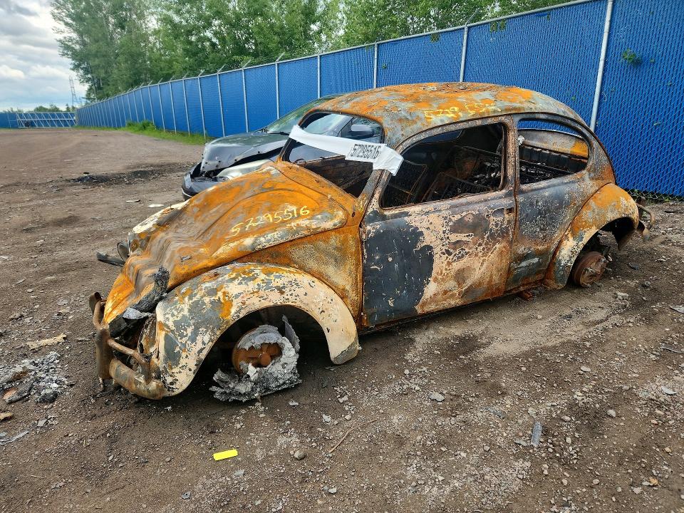 57295516 :رقم المزاد ، 117101418 vin ، 1967 Volkswagen Beetle مزاد بيع