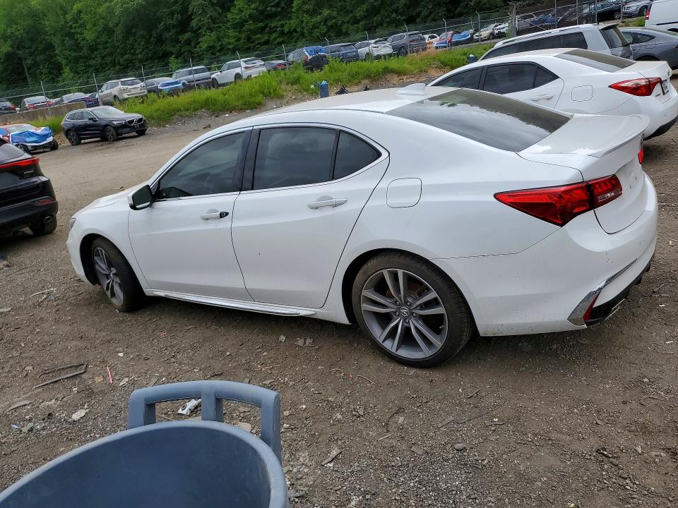 56436966 :رقم المزاد ، 19UUB3F83KA002950 vin ، 2019 Acura Tlx مزاد بيع