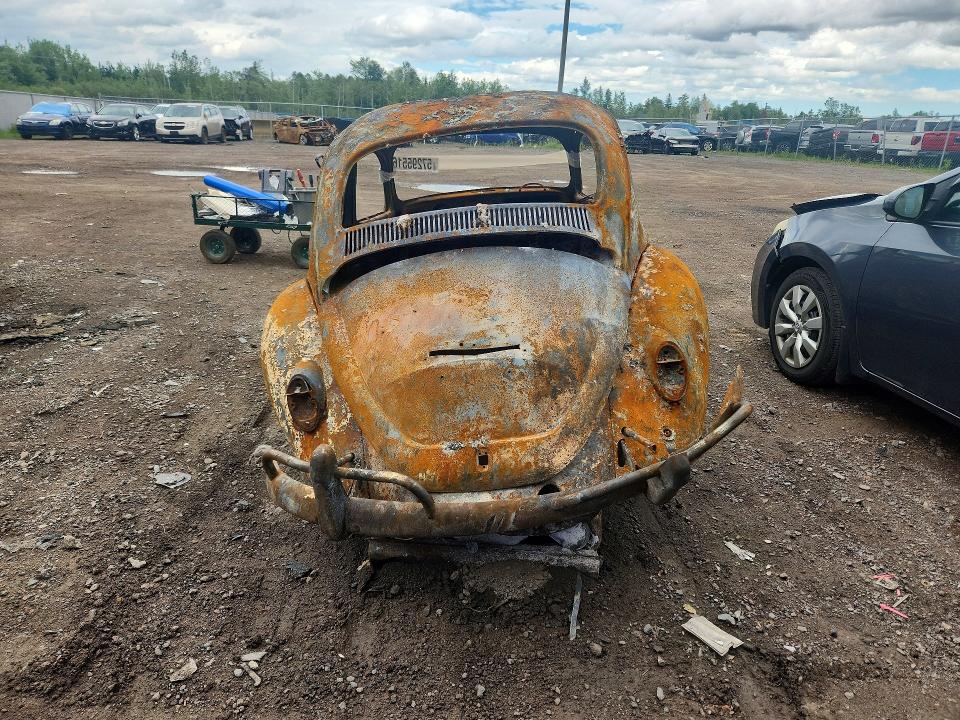 57295516 :رقم المزاد ، 117101418 vin ، 1967 Volkswagen Beetle مزاد بيع