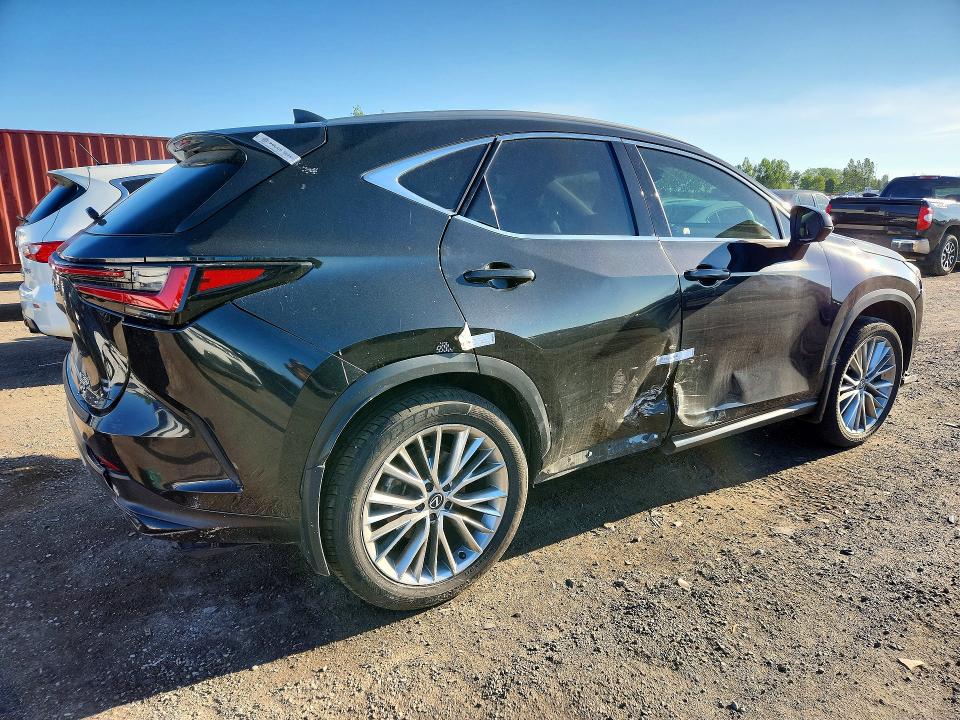 Продажа на аукционе авто 2025 Lexus Nx, vin: 2T2GGCEZ1SC063860, номер лота: 55956786