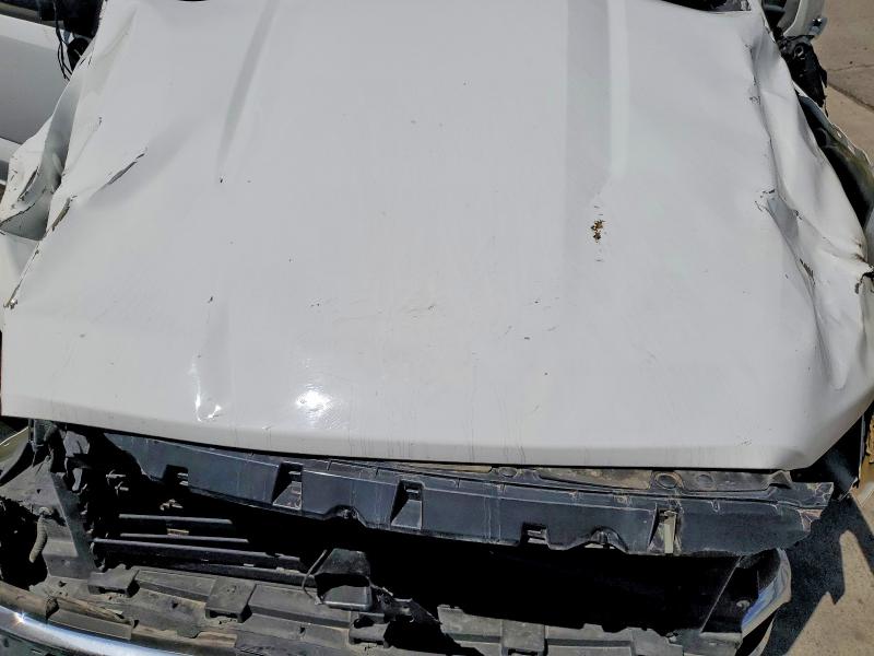 2024 Ford F150 მანქანა იყიდება აუქციონზე, vin: 1FTFW3L80RKE22329, აუქციონის ნომერი: 56220356
