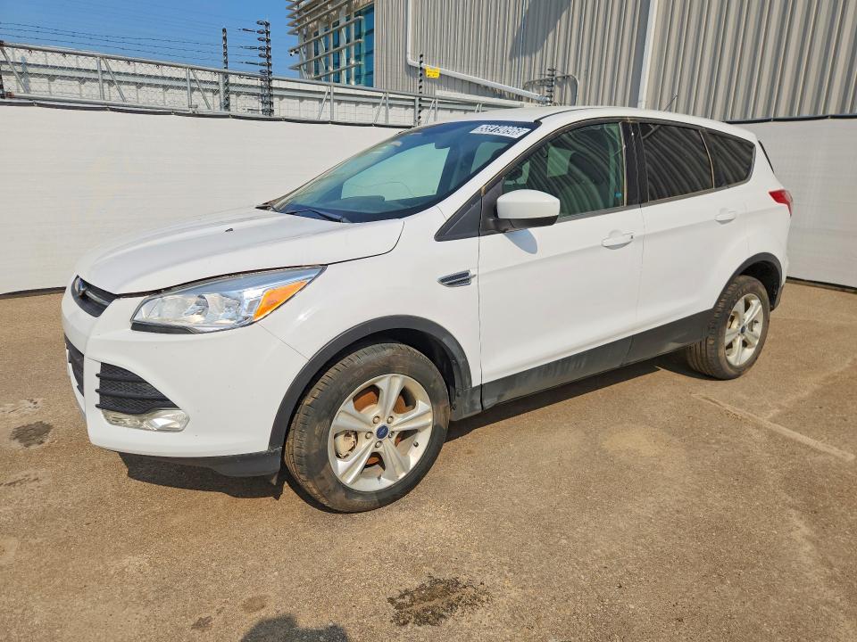 Auction sale of the 2014 Ford Escape, vin: 1FMCU9GX9EUB86772, lot number: 55919096