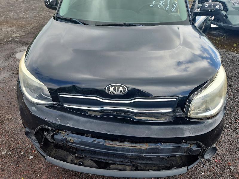 Продаж на аукціоні авто 2017 Kia Soul, vin: KNDJN2A24H7496179, номер лоту: 59014716
