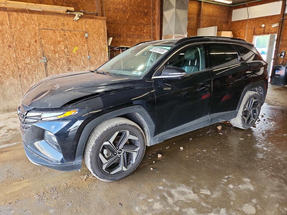 Auction sale of the 2023 Hyundai Tucson, vin: 5NMJECAE8PH243129, lot number: 59127536