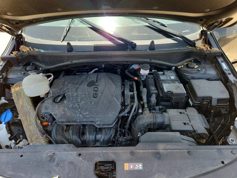 Продаж на аукціоні авто 2024 Kia Sportage, vin: 5XYK6CDF5RG151981, номер лоту: 59162676