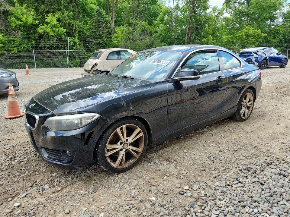 Auction sale of the 2015 Bmw 228, vin: WBA1F7C53FVX96237, lot number: 58256906
