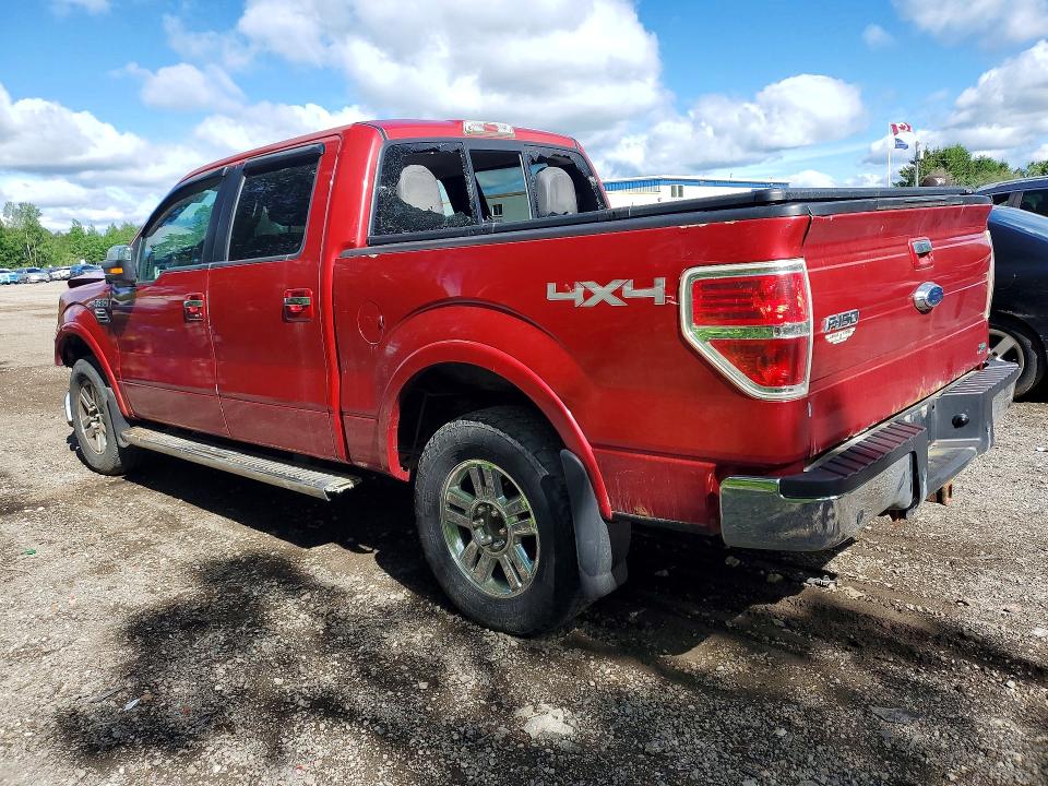 55336596 :رقم المزاد ، 1FTFW1EVXAFD06205 vin ، 2010 Ford F150 مزاد بيع