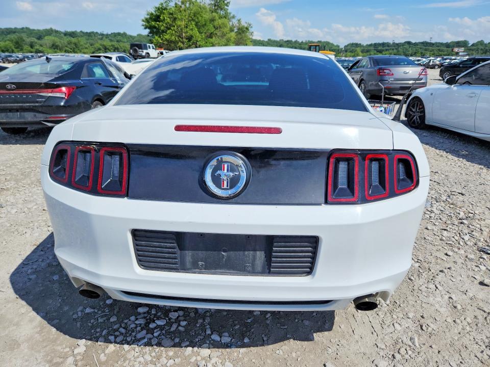 56648326 :رقم المزاد ، 1ZVBP8AM7E5203673 vin ، 2014 Ford Mustang مزاد بيع