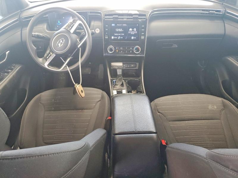 Продаж на аукціоні авто 2023 Hyundai Santa Cruz, vin: 5NTJCDAE6PH075958, номер лоту: 55925276