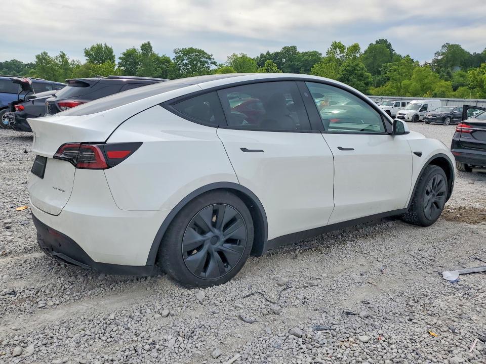 Aukcja sprzedaży 2024 Tesla Model Y, vin: 7SAYGDEE1RF209324, numer aukcji: 56499626