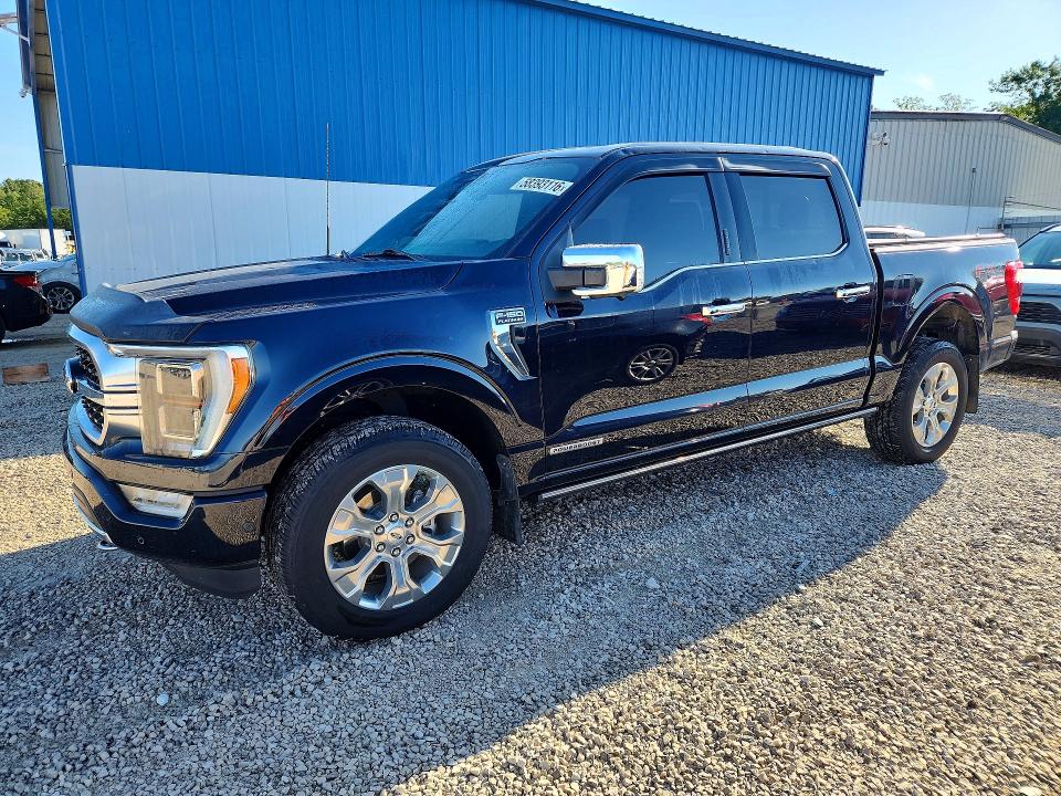 2021 Ford F150 მანქანა იყიდება აუქციონზე, vin: 1FTFW1ED7MFB13425, აუქციონის ნომერი: 58393116