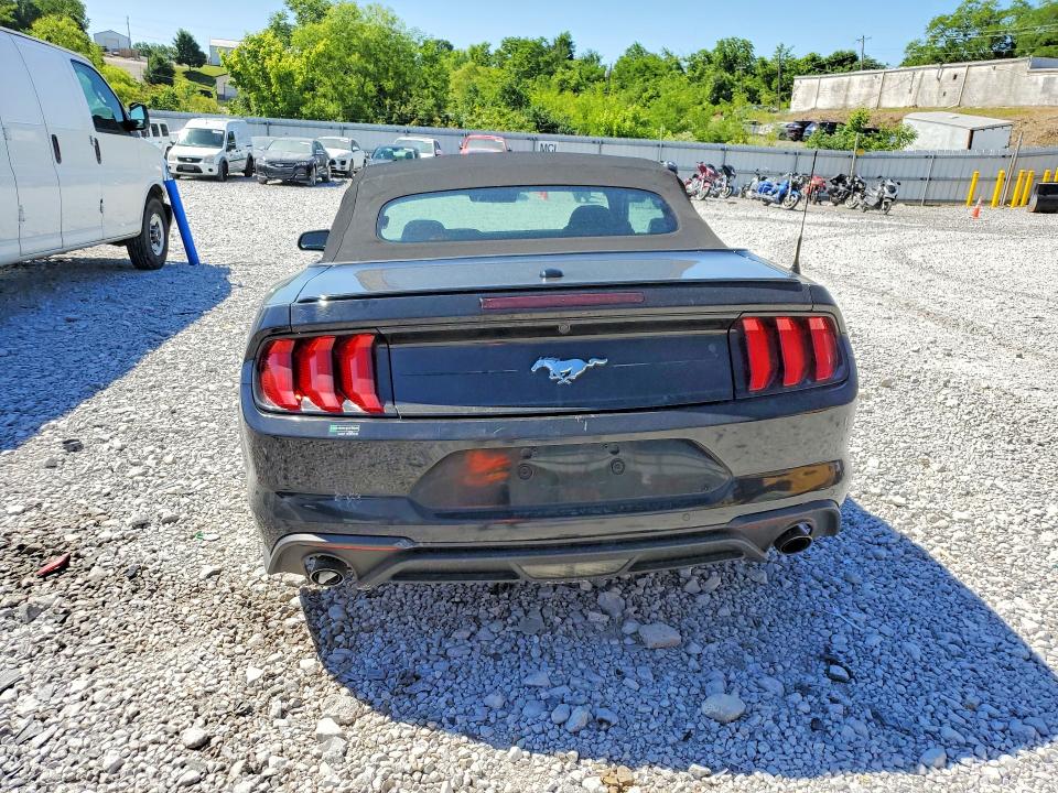 55604756 :رقم المزاد ، 1FATP8UH4P5103173 vin ، 2023 Ford Mustang مزاد بيع