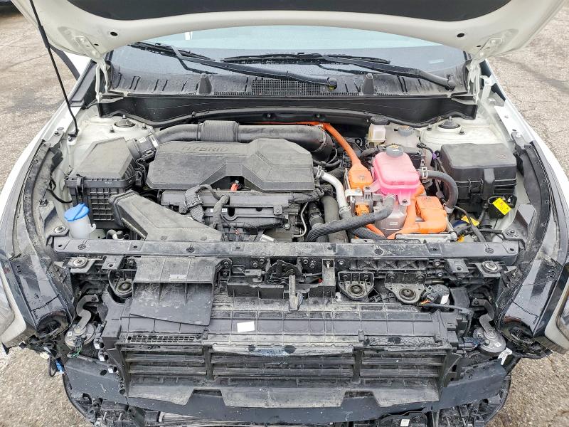 Продаж на аукціоні авто 2025 Kia Sportage, vin: KNDPVCDG3S7229758, номер лоту: 58317966