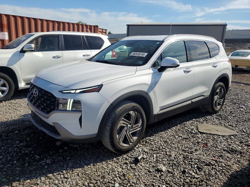 Продаж на аукціоні авто 2023 Hyundai Santa Fe, vin: 5NMS2DAJ7PH638029, номер лоту: 56845516
