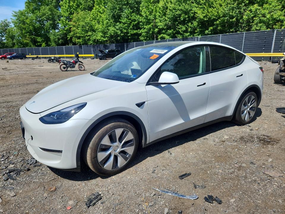Продажа на аукционе авто 2024 Tesla Model Y, vin: 7SAYGAEEXRF994926, номер лота: 55603206