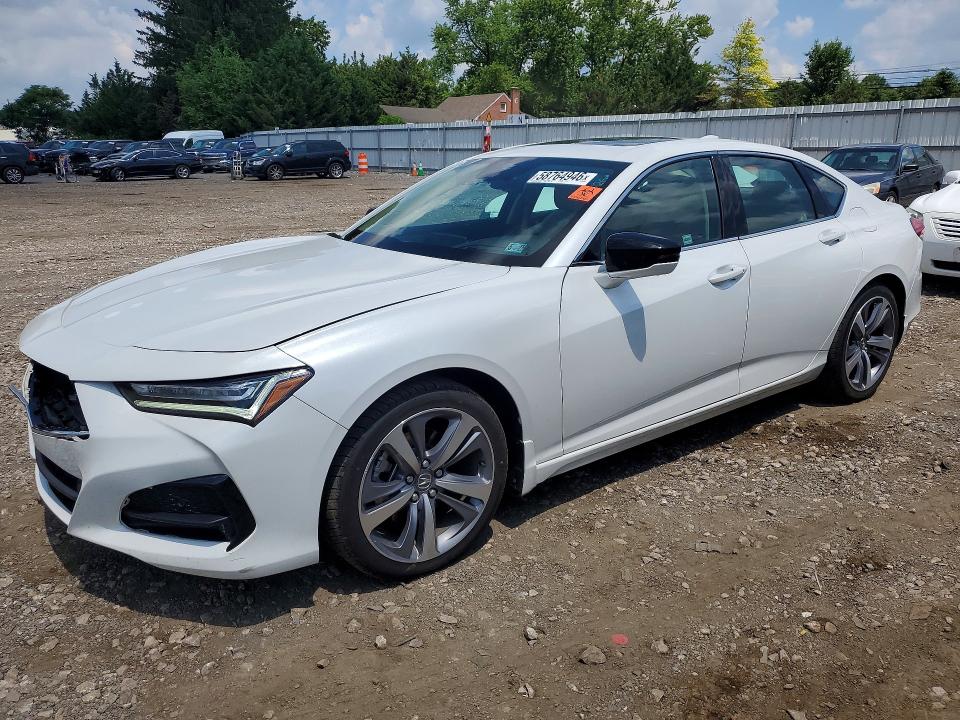 Auction sale of the 2022 Acura Tlx, vin: 19UUB6F66NA003031, lot number: 58764946