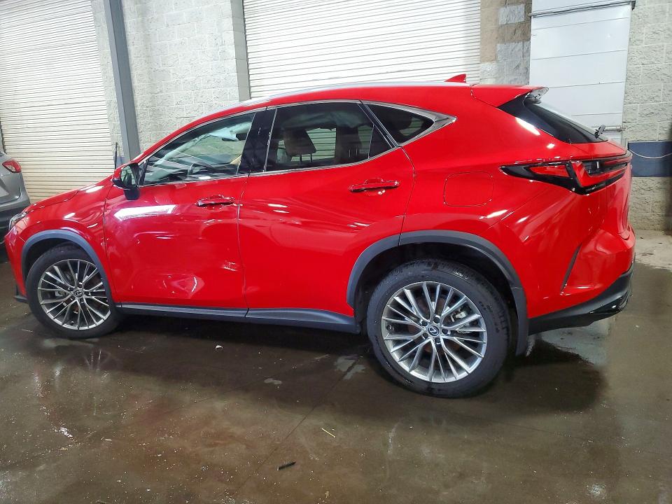 Продажа на аукционе авто 2024 Lexus Nx, vin: 2T2HGCEZ5RC055209, номер лота: 55966116