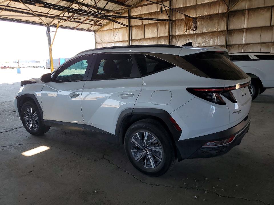 56874356 :رقم المزاد ، KM8JBCA13NU057411 vin ، 2022 Hyundai Tucson مزاد بيع