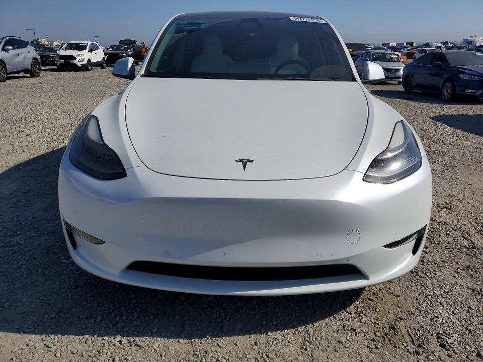 55653136 :رقم المزاد ، 5YJYGDEF1MF219995 vin ، 2021 Tesla Model Y مزاد بيع
