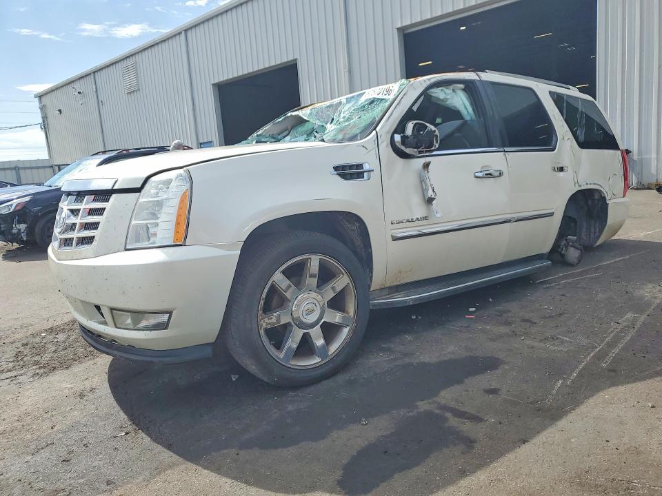 2010 Cadillac Escalade მანქანა იყიდება აუქციონზე, vin: 1GYUCBEF3AR257484, აუქციონის ნომერი: 57570196