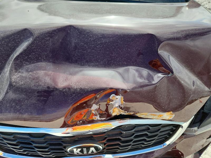 Auction sale of the 2019 Kia Sorento, vin: 5XYPG4A33KG511287, lot number: 57322636