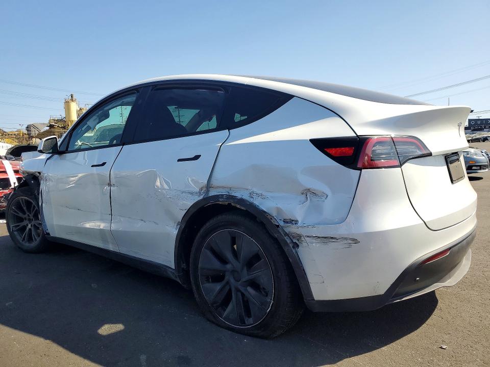 Продажа на аукционе авто 2024 Tesla Model Y, vin: 7SAYGDED9RF197687, номер лота: 56369146