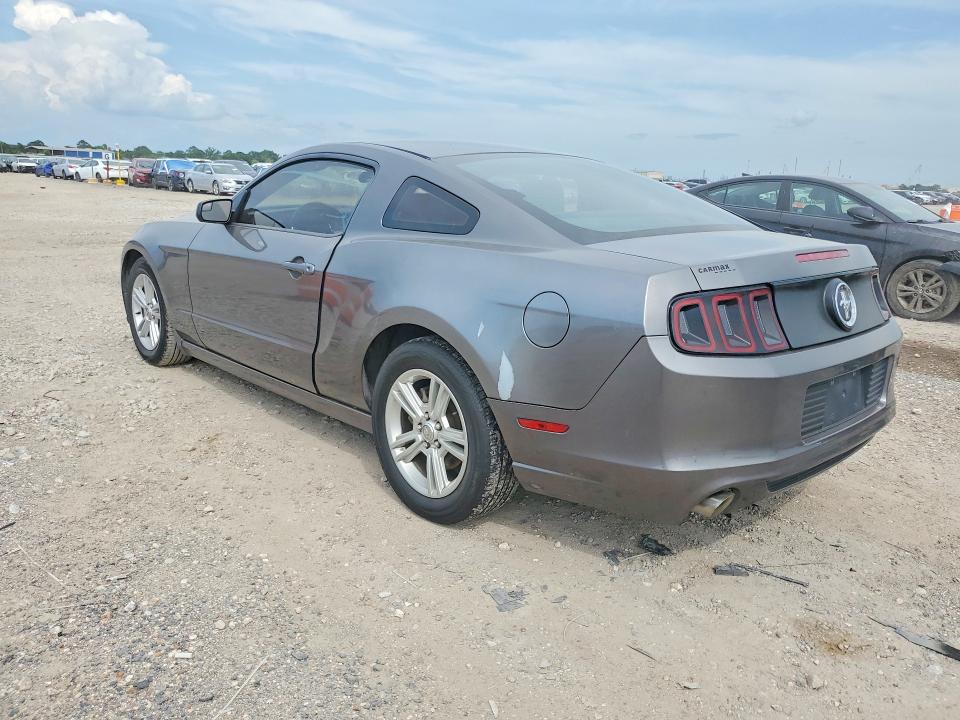 Продажа на аукционе авто 2014 Ford Mustang, vin: 1ZVBP8AMXE5277539, номер лота: 55634456