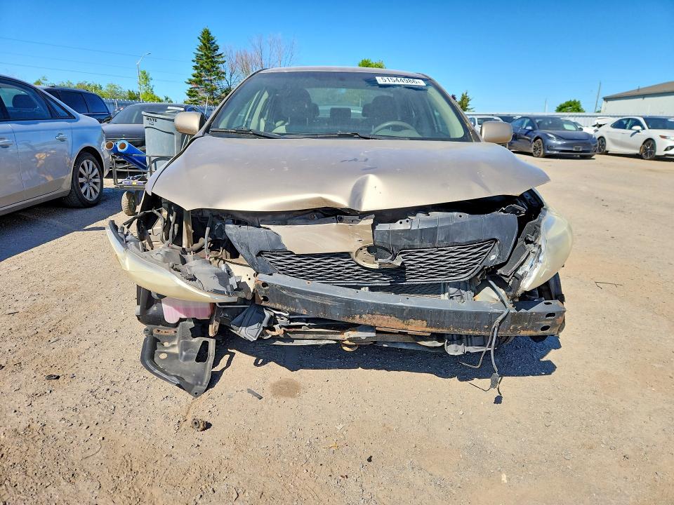 Продаж на аукціоні авто 2009 Toyota Corolla, vin: 2T1BU40E69C182855, номер лоту: 51544986