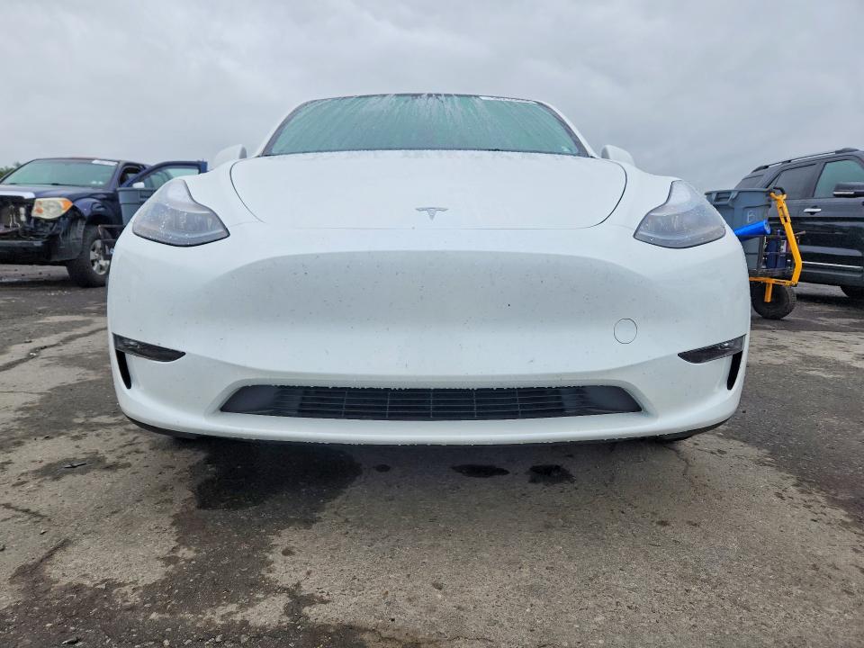 Продажа на аукционе авто 2024 Tesla Model Y, vin: 7SAYGDEE1RF197224, номер лота: 58239656
