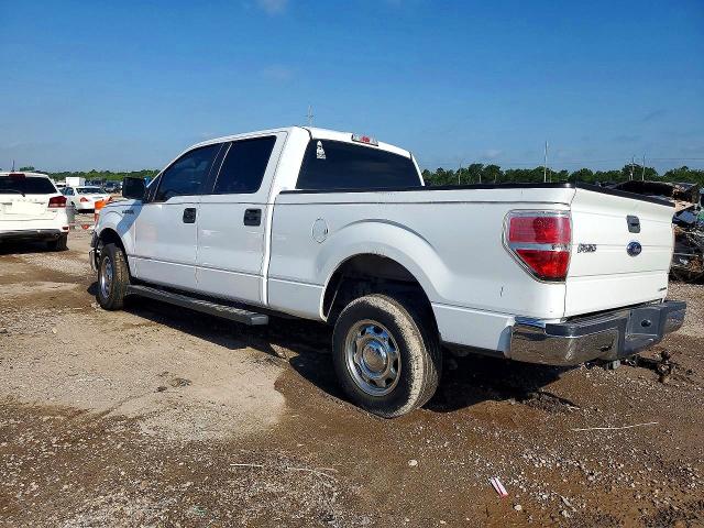 Продажа на аукционе авто 2013 Ford F150, vin: 1FTFW1CF8DKF09245, номер лота: 54899896