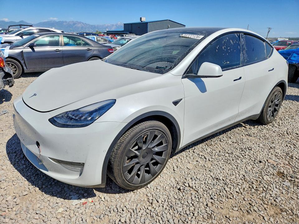 56322126 :رقم المزاد ، 5YJYGDEE2MF278769 vin ، 2021 Tesla Model Y مزاد بيع