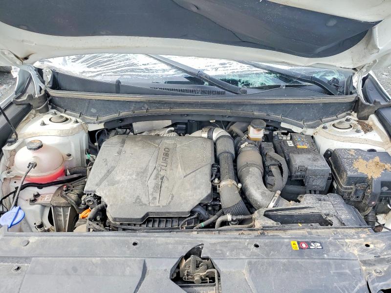 2024 Hyundai Santa Cruz მანქანა იყიდება აუქციონზე, vin: 5NTJEDDF0RH102900, აუქციონის ნომერი: 54504056