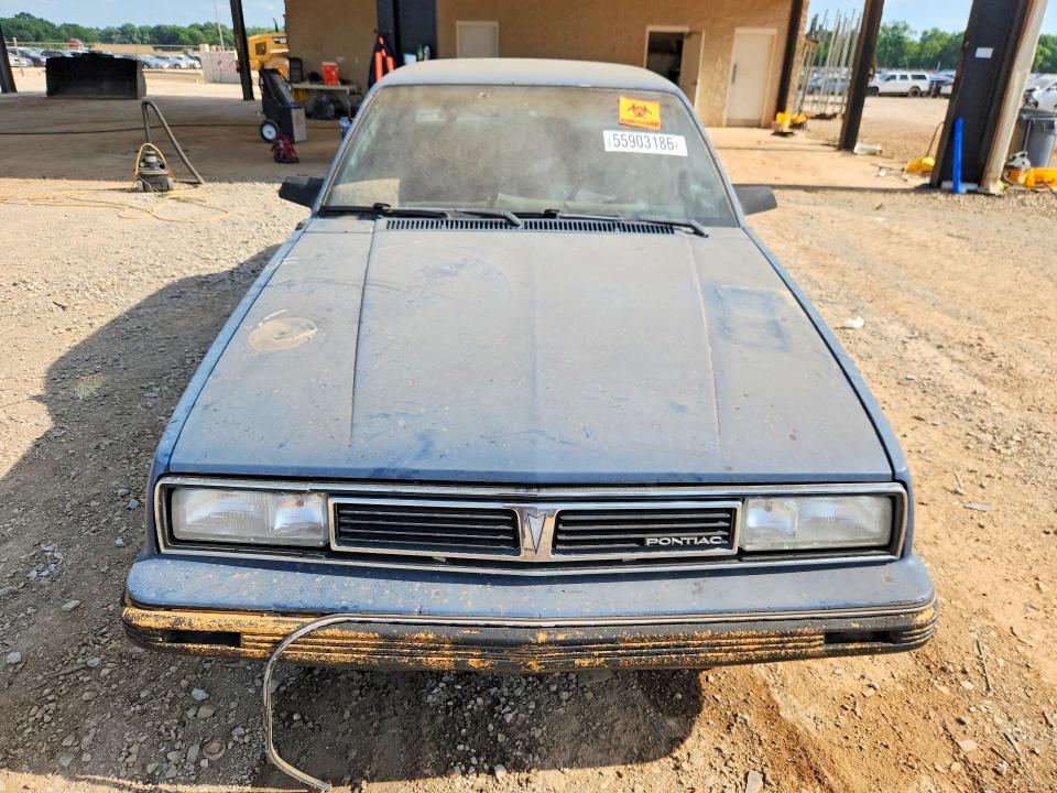 Продажа на аукционе авто 1987 Pontiac 6000, vin: 2G2AF51R8H9260908, номер лота: 55903186