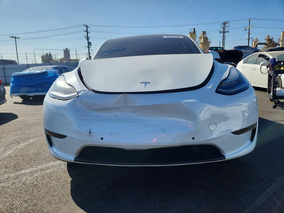 56995346 :رقم المزاد ، 5YJYGDEE7MF202643 vin ، 2021 Tesla Model Y مزاد بيع