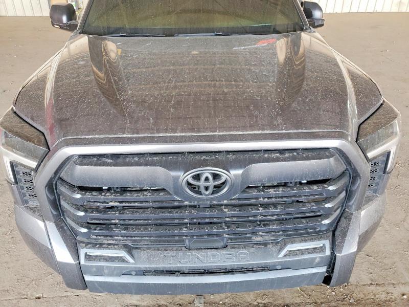 Продажа на аукционе авто 2025 Toyota Tundra, vin: 5TFLA5DBXSX259611, номер лота: 56145176