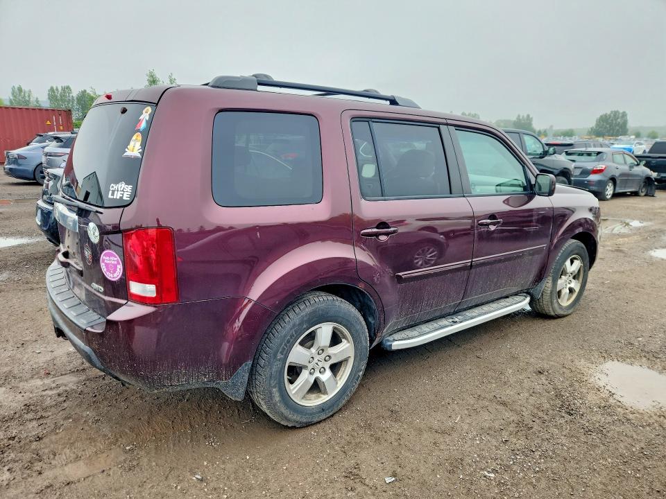 Aukcja sprzedaży 2009 Honda Pilot, vin: 5FNYF48669B501734, numer aukcji: 56483466