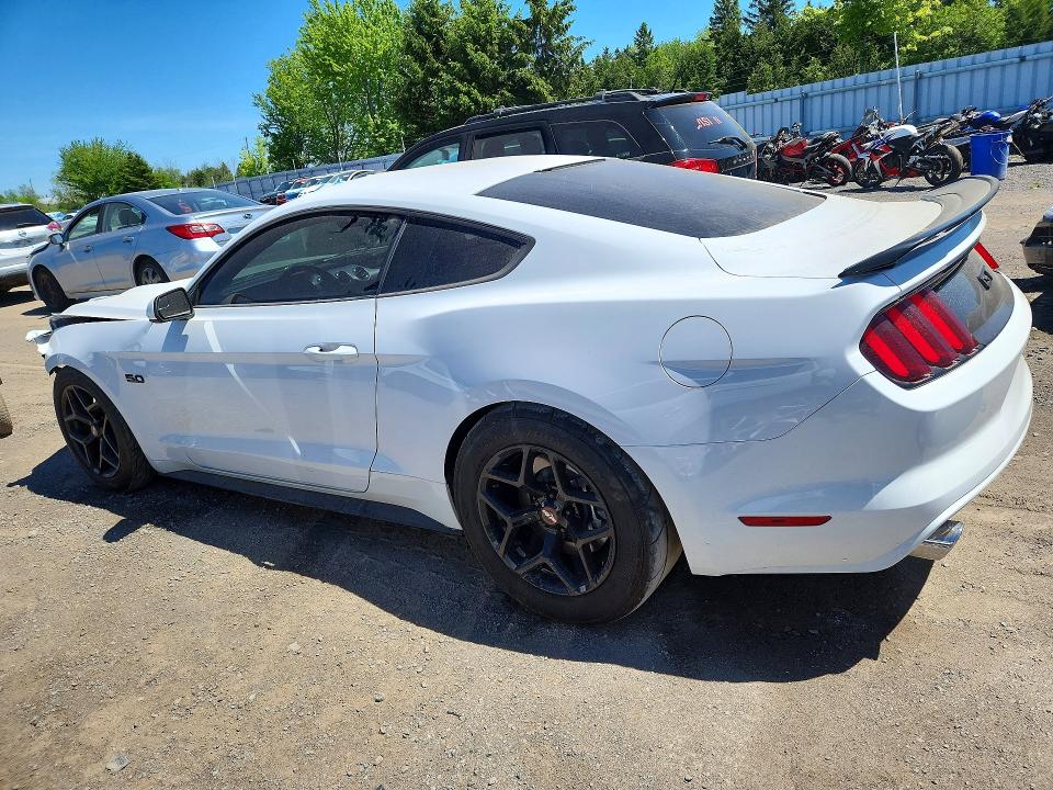 2017 Ford Mustang მანქანა იყიდება აუქციონზე, vin: 1FA6P8CF3H5303508, აუქციონის ნომერი: 55567886